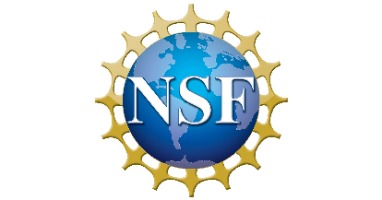 A blue earth with gold stylized figures holding hands encircling it and the letters "NSF" within.